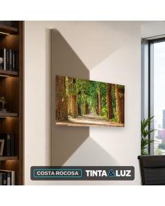 COSTA ROCOSA