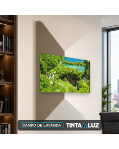 CAMPO DE LAVANDA