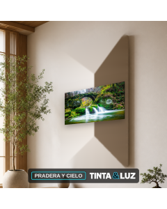 PRADERA Y CIELO