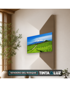 SENDERO DEL BOSQUE