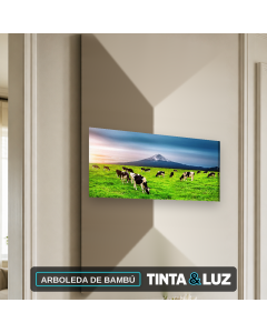 ARBOLEDA DE BAMBÚ
