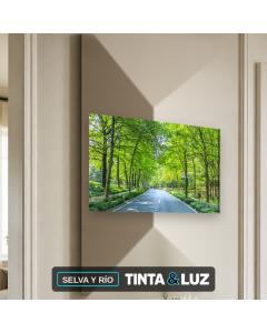 SELVA Y RÍO