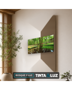 BOSQUE Y LUZ