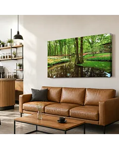 BOSQUE Y LUZ