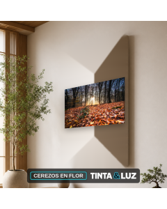 CEREZOS EN FLOR