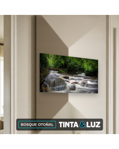 BOSQUE OTOÑAL