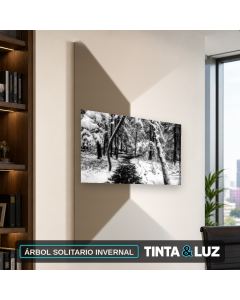 ÁRBOL SOLITARIO INVERNAL