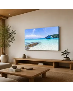 PALMERA Y LAGUNA