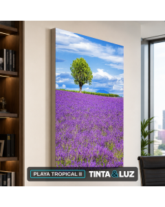 PLAYA TROPICAL II