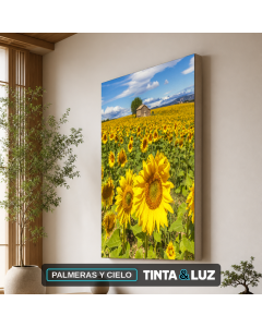 PALMERAS Y CIELO