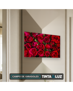 CAMPO DE GIRASOLES