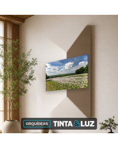 ORQUÍDEAS