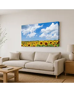 CAMPO DE FLORES