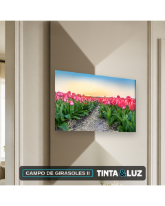 CAMPO DE GIRASOLES II