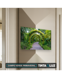 CAMPO VERDE PRIMAVERAL
