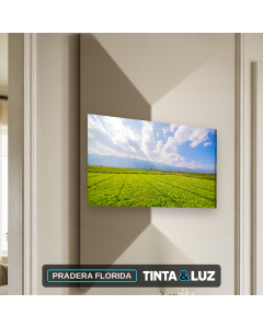PRADERA FLORIDA