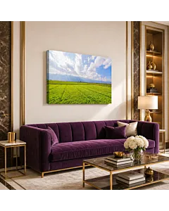 PRADERA FLORIDA