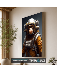 MONO AVIADOR