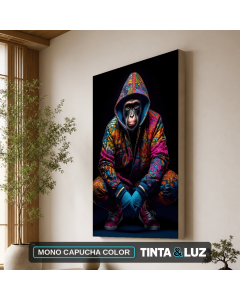 MONO CAPUCHA COLOR