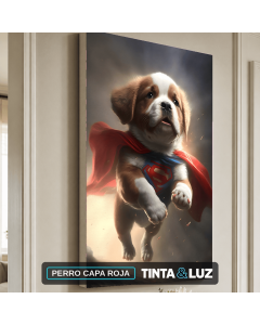 PERRO CAPA ROJA