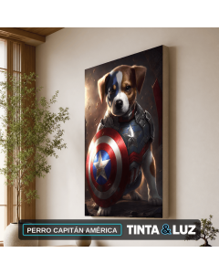 PERRO CAPITÁN AMÉRICA