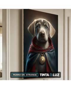 PERRO DR. STRANGE