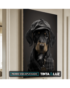 PERRO ENCAPUCHADO