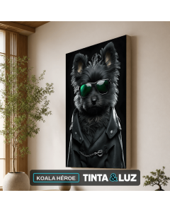 KOALA HÉROE