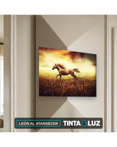 LEÓN AL ATARDECER