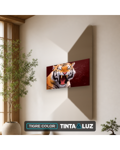 TIGRE COLOR