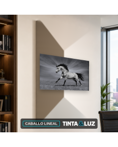 CABALLO LINEAL