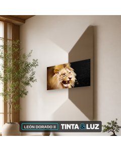 LEÓN DORADO II
