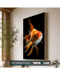 PEZ DORADO ROJO