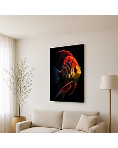 PEZ BETTA NARANJA