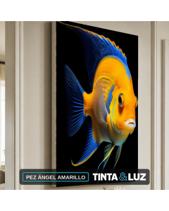 PEZ ÁNGEL AMARILLO