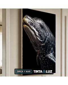 ORCA Y MAR