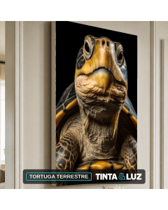 TORTUGA TERRESTRE