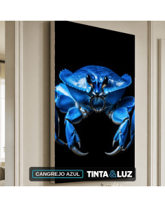 CANGREJO AZUL