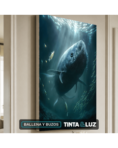 BALLENA Y BUZOS