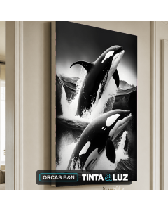 ORCAS B&N