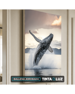 BALLENA JOROBADA