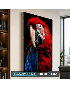 GUACAMAYO ROJO