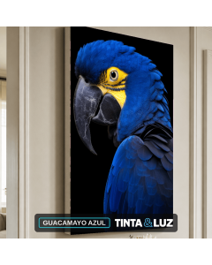 GUACAMAYO AZUL