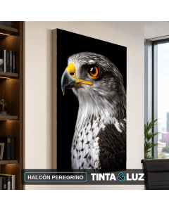 HALCÓN PEREGRINO