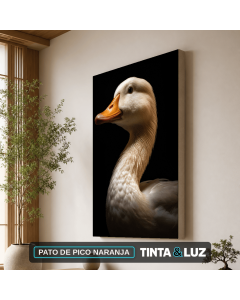 PATO DE PICO NARANJA
