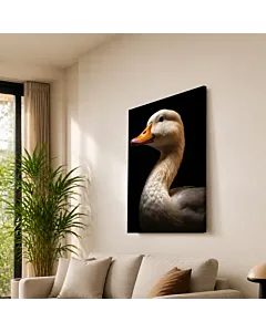 PATO DE PICO NARANJA
