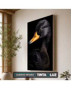 CUERVO NEGRO
