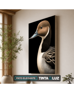 PATO ELEGANTE