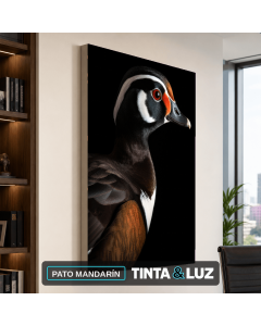 PATO MANDARÍN