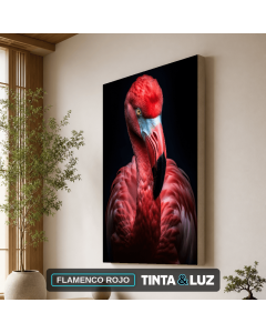 FLAMENCO ROJO